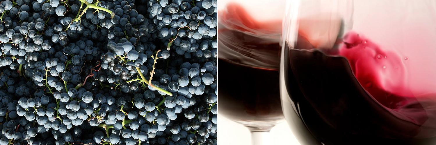 TaboadaWine's profile banner image