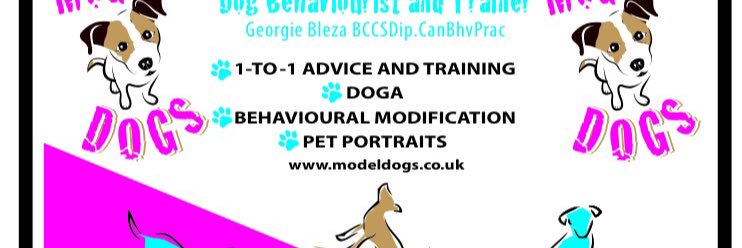 modeldogs's profile banner image