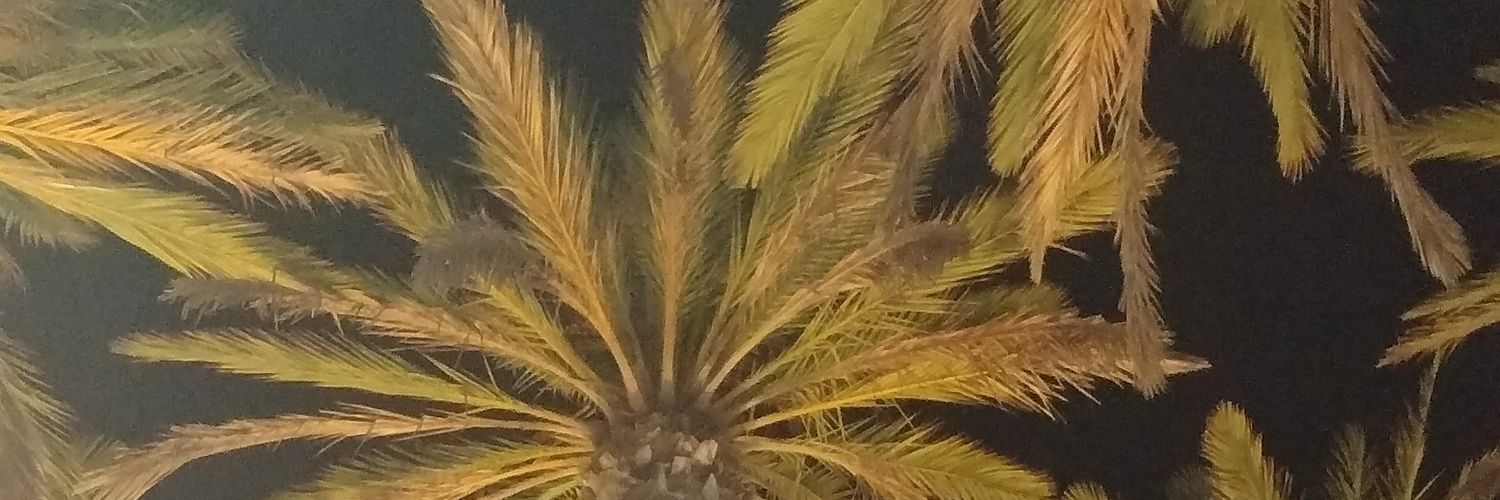vickyvm's profile banner image