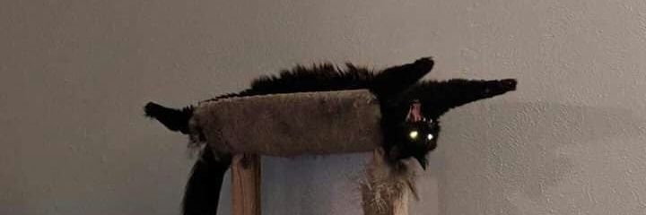 ReecetheDeer's profile banner image