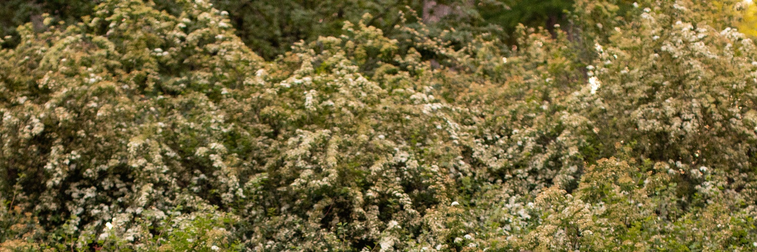 eesmarts's profile banner image