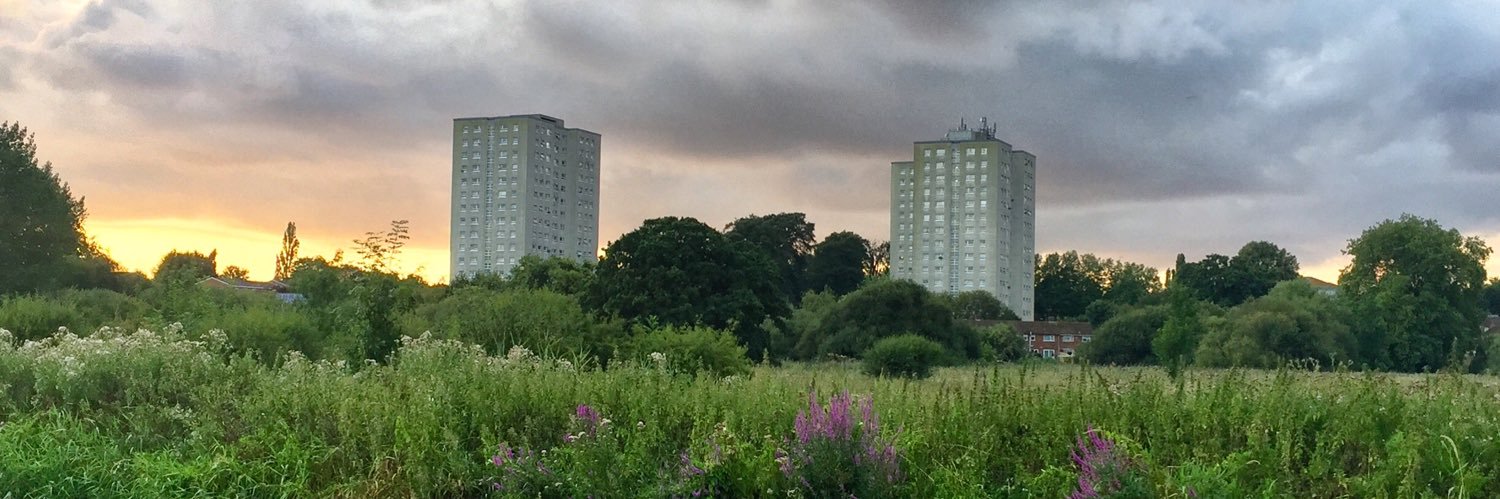 Kathryn McCann banner