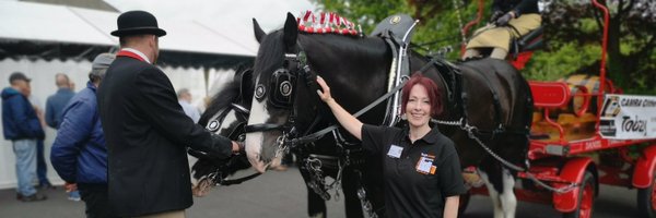 elancsnetworkin Profile Banner