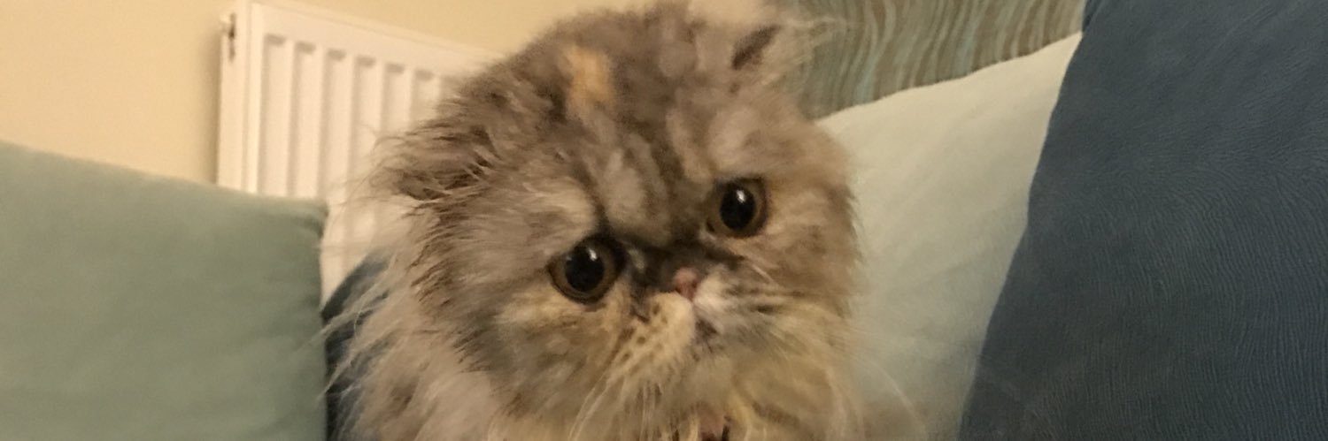 beste_cbk's profile banner image