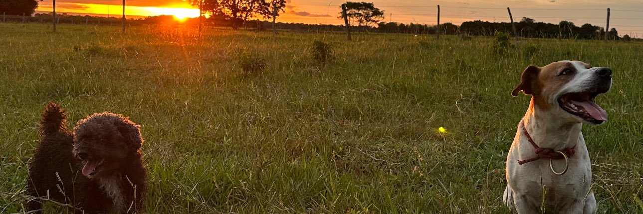 enipaulaa's profile banner image