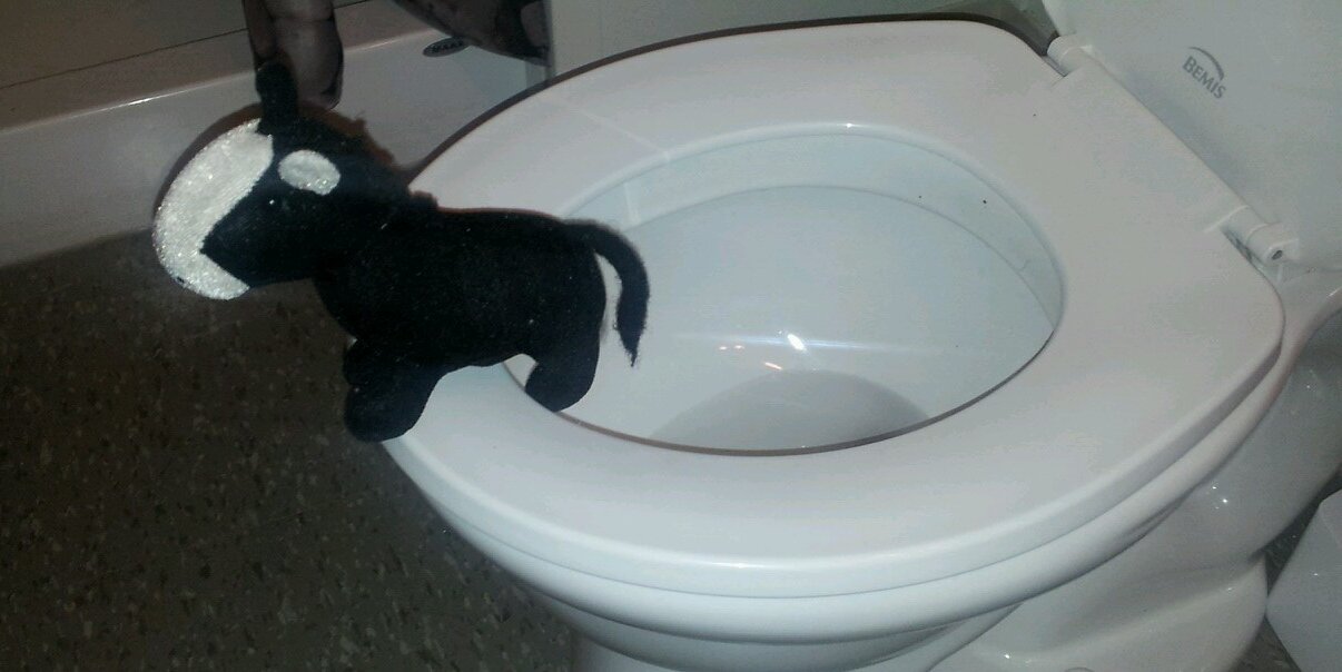 Anne O'Neill Bradt banner