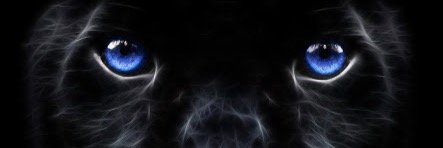 TeamBPanthers's profile banner image