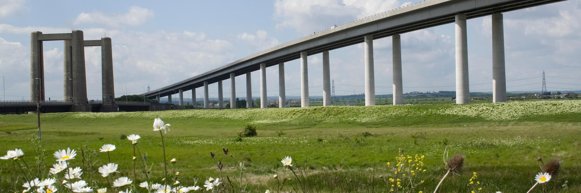 Swale Means Business banner