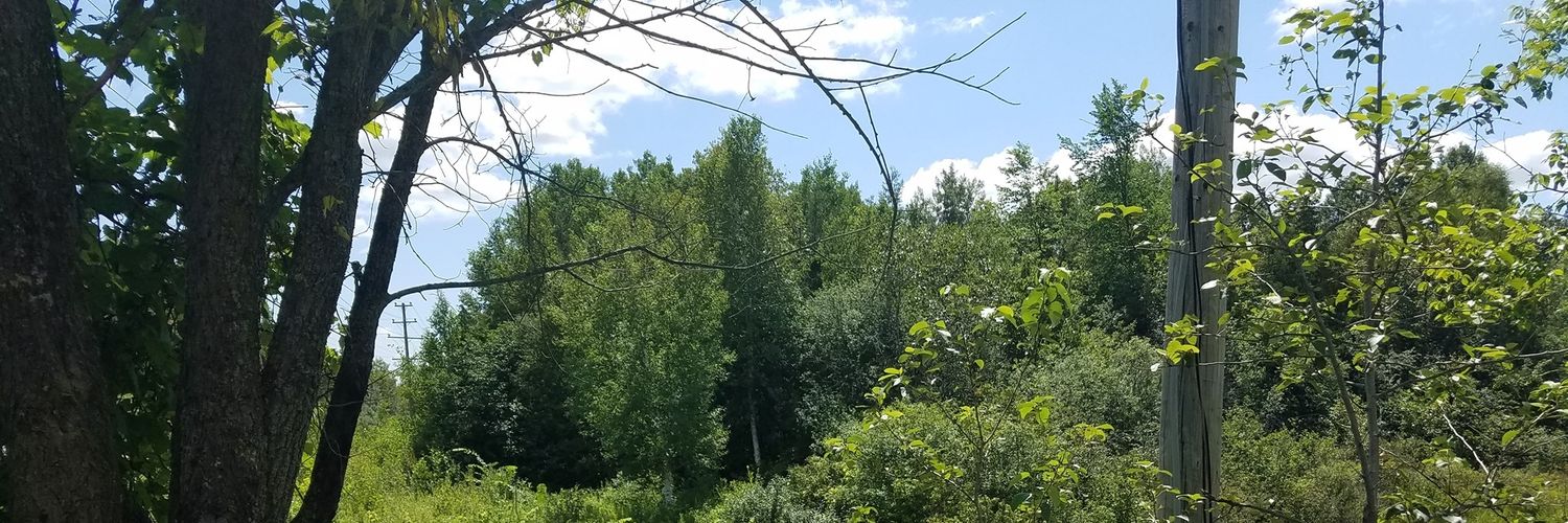 WackyFarmer's profile banner image