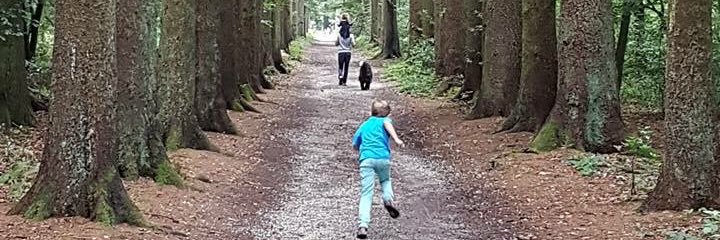 Kevin_Hendriks_'s profile banner image
