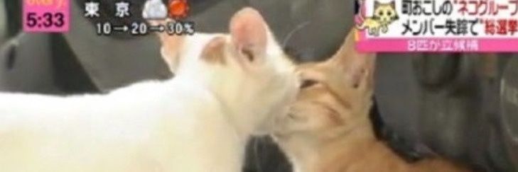 disaeppointed's profile banner image
