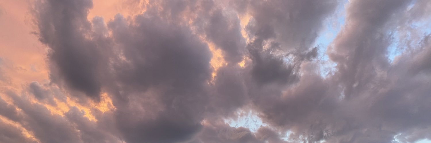 rlethh's profile banner image