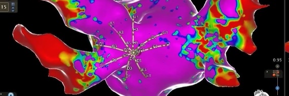 Alexander Kushnir banner