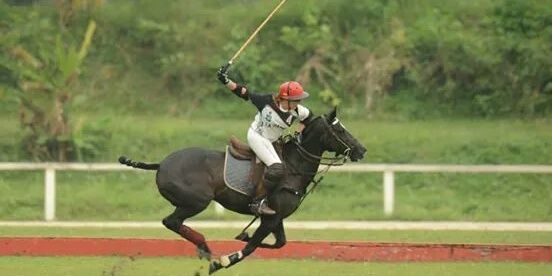 Sarah Wiseman banner