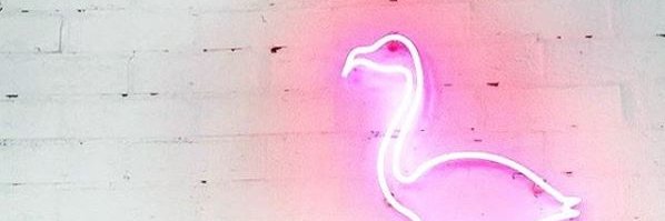 sandra__la's profile banner image