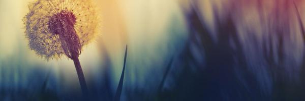 IECT_HH Profile Banner