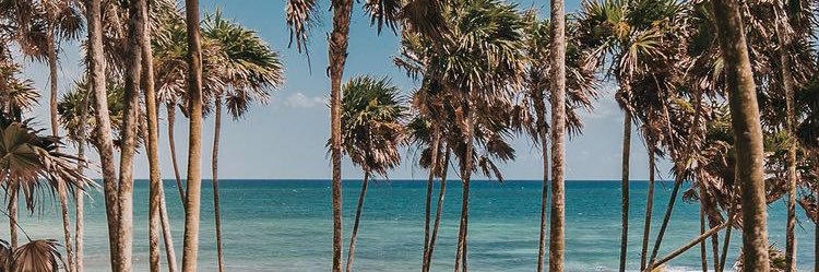 ivanacontreraas's profile banner image
