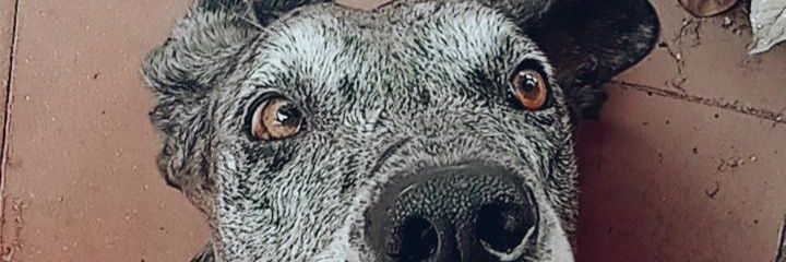 mel_brochero's profile banner image