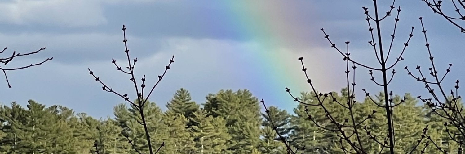 Willardolson's profile banner image