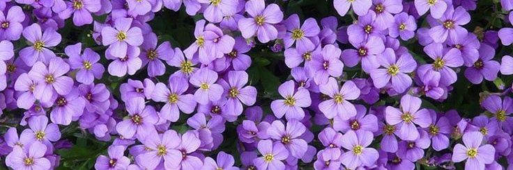 me999984's profile banner image