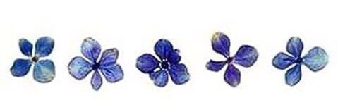 JSkatzka's profile banner image