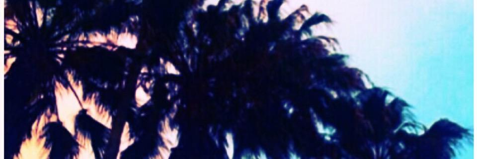 qroussard's profile banner image