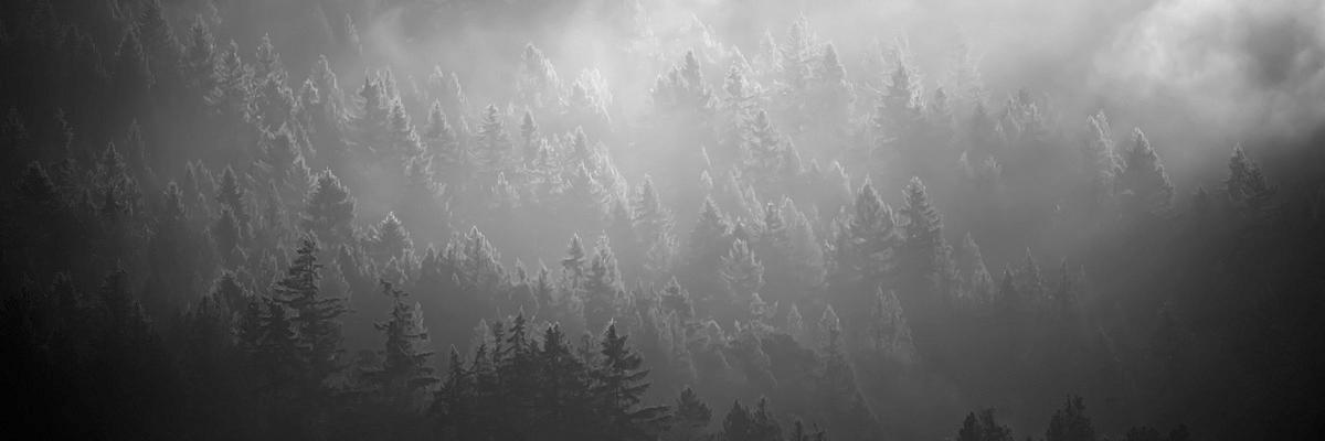 JakeMissall's profile banner image