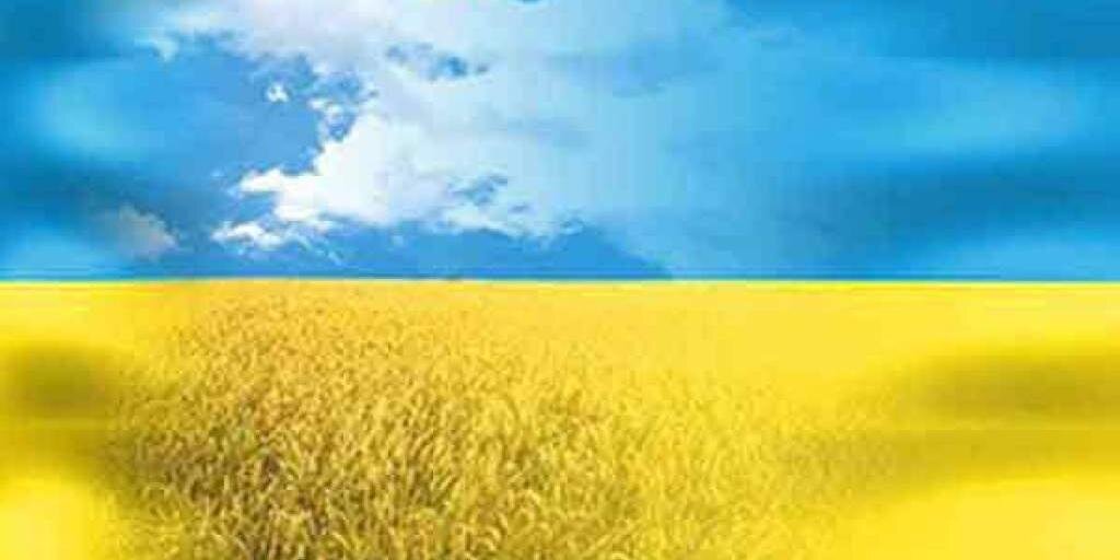 OKononenko's profile banner image