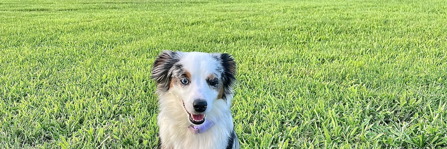 ashlynbradnerr's profile banner image