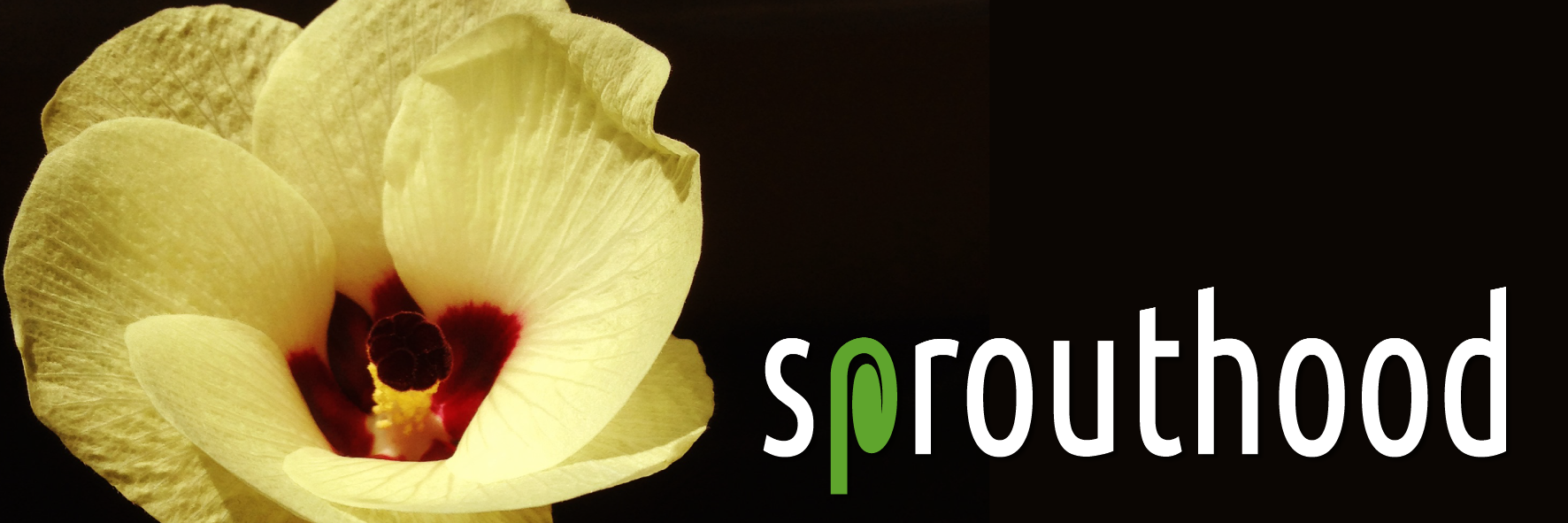 sprouthood's profile banner image