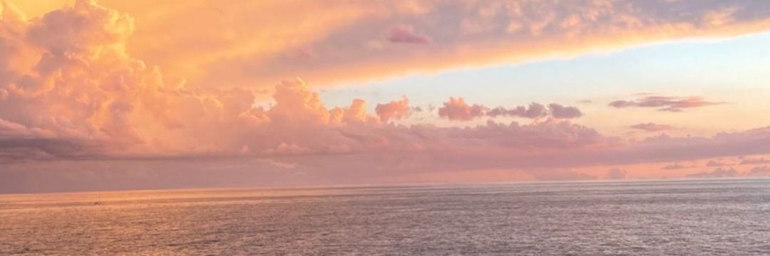 MenciaBoveda's profile banner image