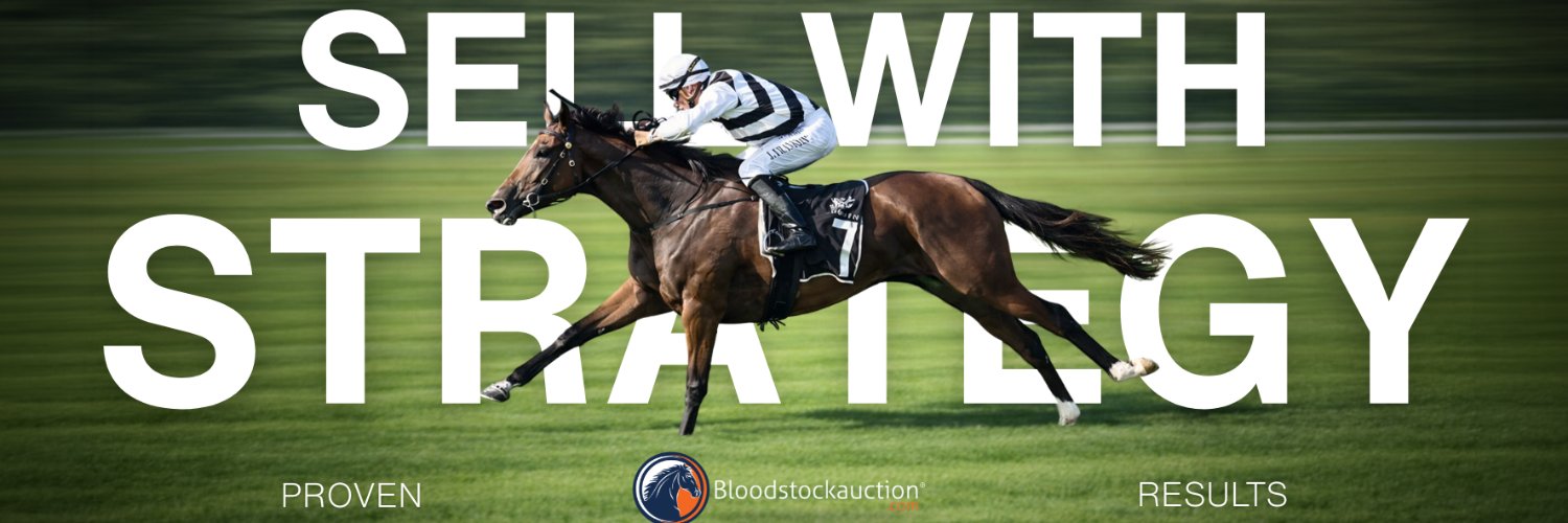 Bloodstockauction.com banner
