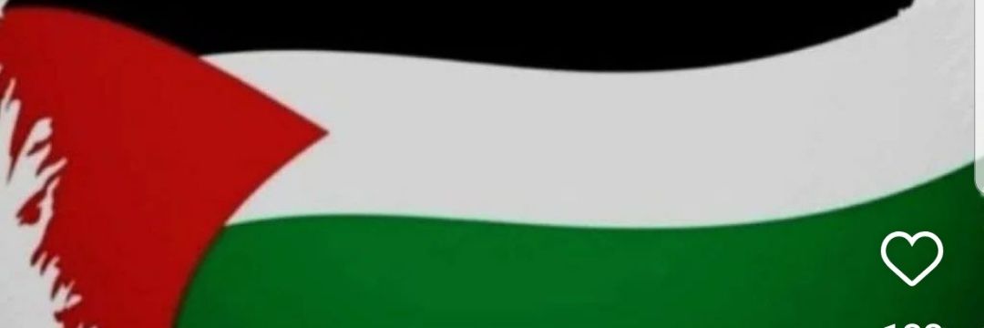 Hasan Aktemur. banner