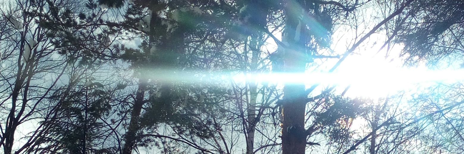 Samarkand7777's profile banner image