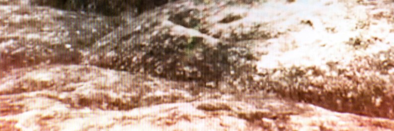 marythreethree's profile banner image