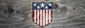 🇺🇸The Beave🇺🇸 banner