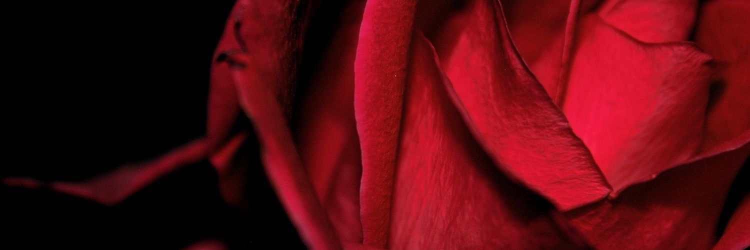 BossyLady1975's profile banner image