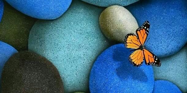 fefa73493350's profile banner image