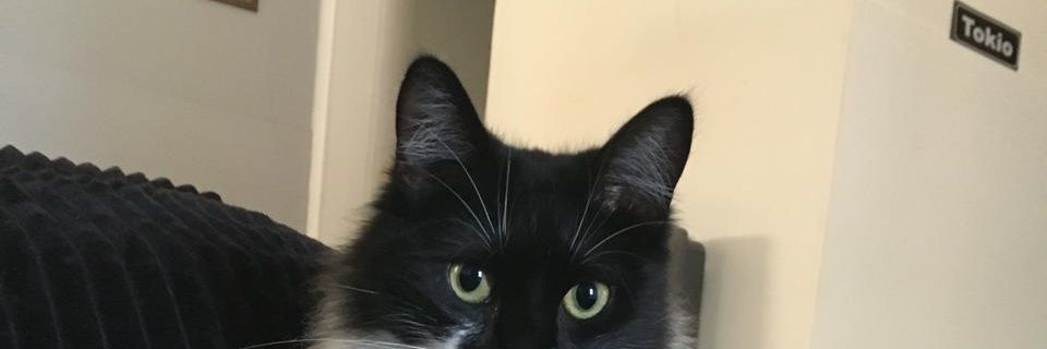 cosmicattt's profile banner image