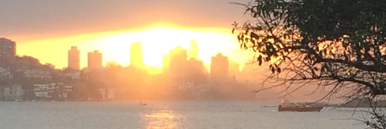 sarah91ou's profile banner image