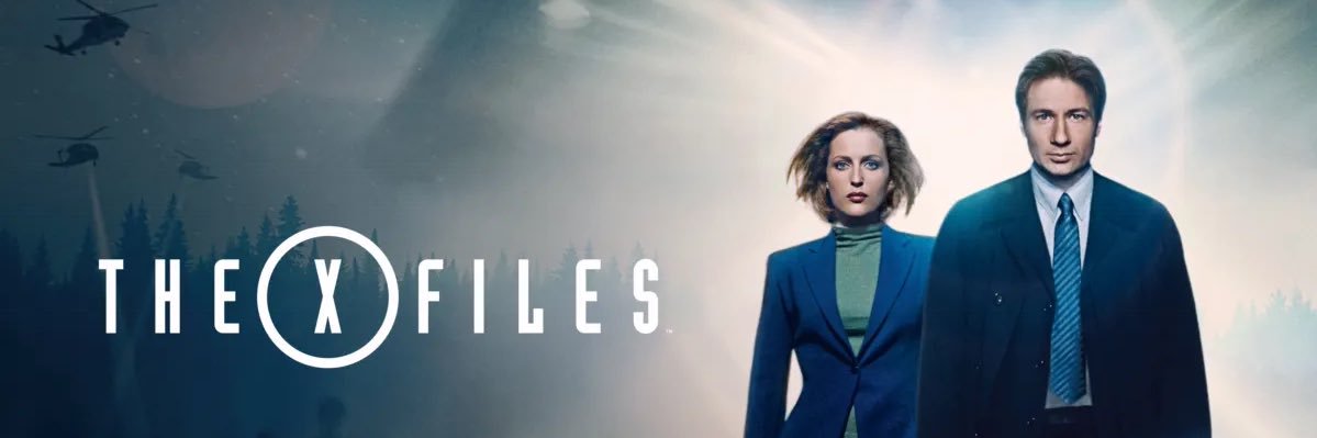 RachelMHalsey2's profile banner image