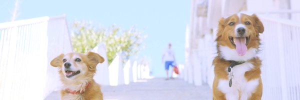 stamihades Profile Banner