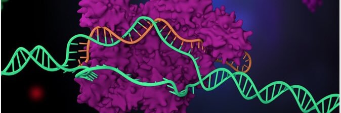 Eric Billy 🇫🇷🇪🇺🦋 banner