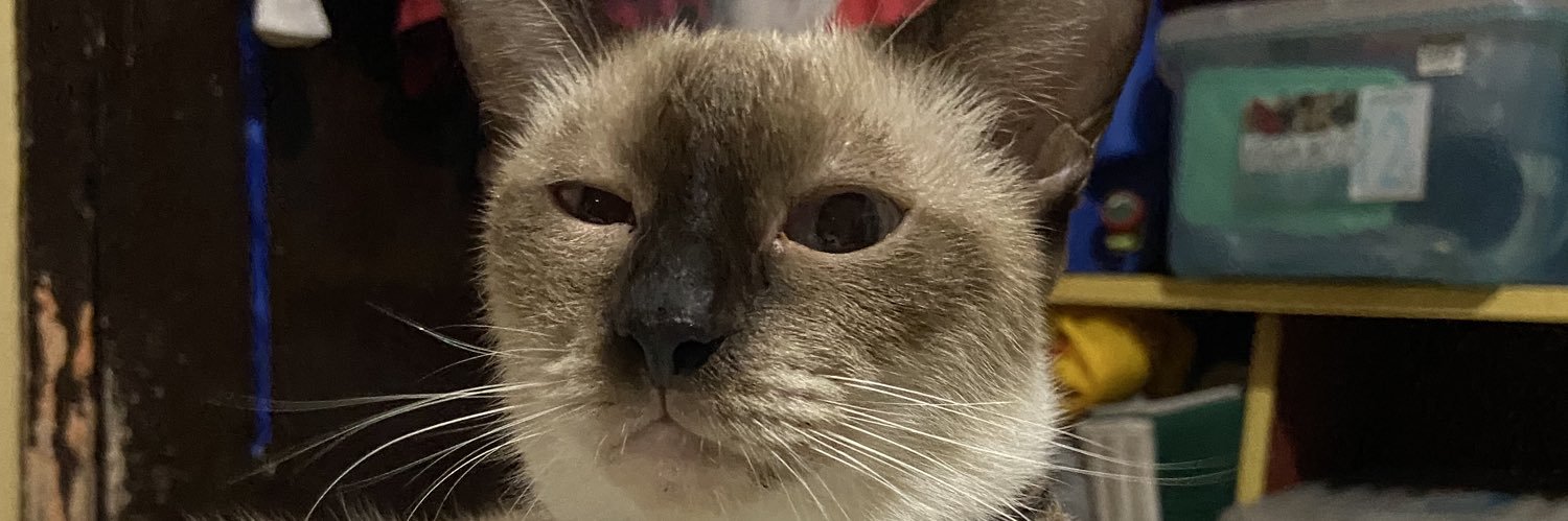 tmthyrnn's profile banner image