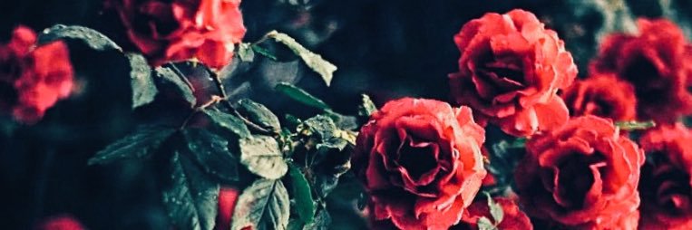 sweetlorraineee's profile banner image
