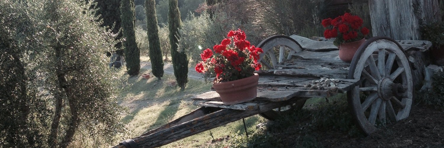 macioche's profile banner image