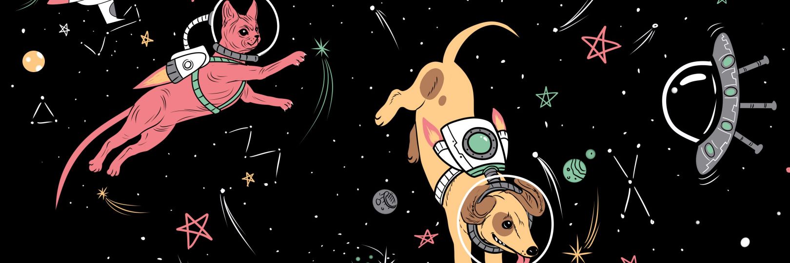 coolbeans211's profile banner image
