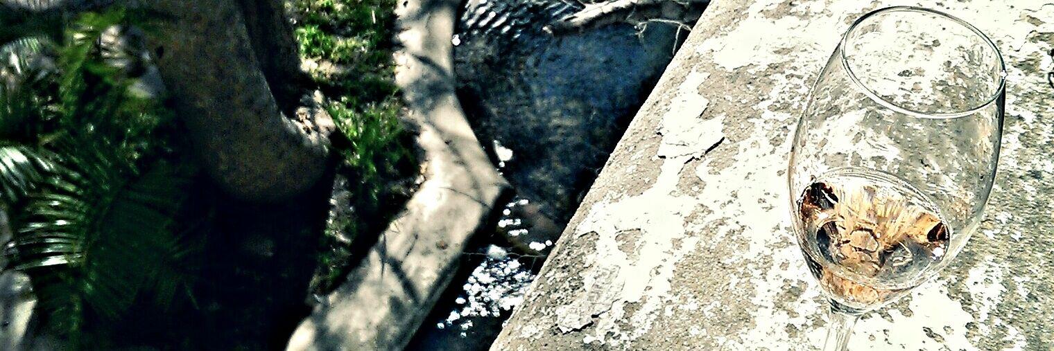 Maties Wine Society banner