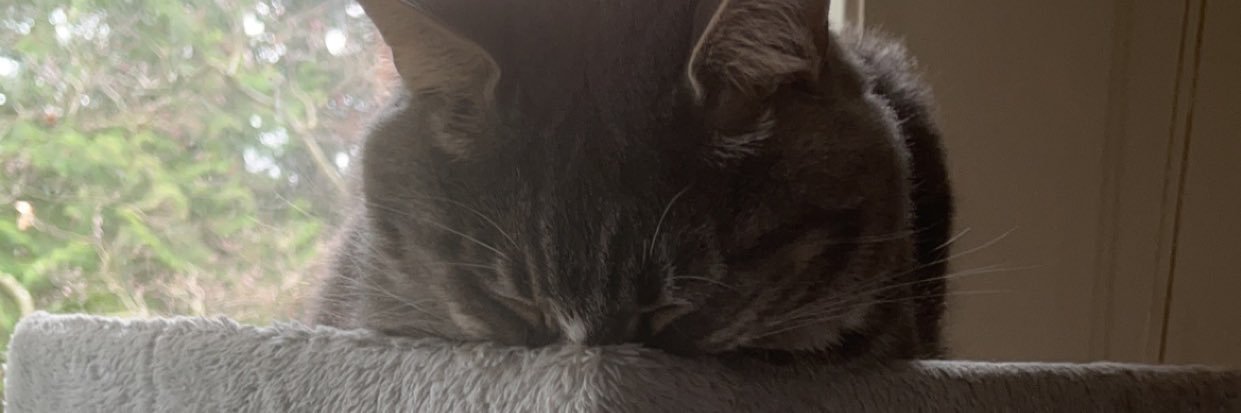 lexilayyne's profile banner image