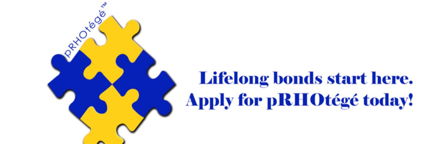 pRHOtege's profile banner image